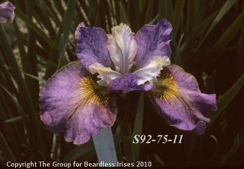s92- 75-11 SCa
